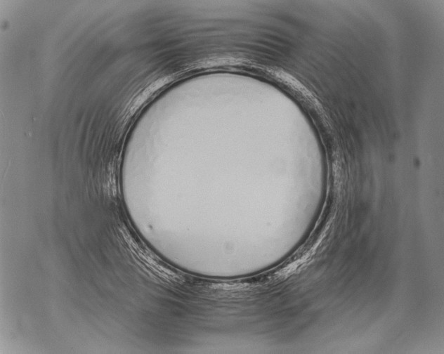 X0000071840929200607290104