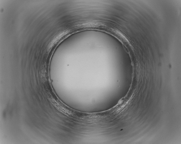 X0000071840930200607290104