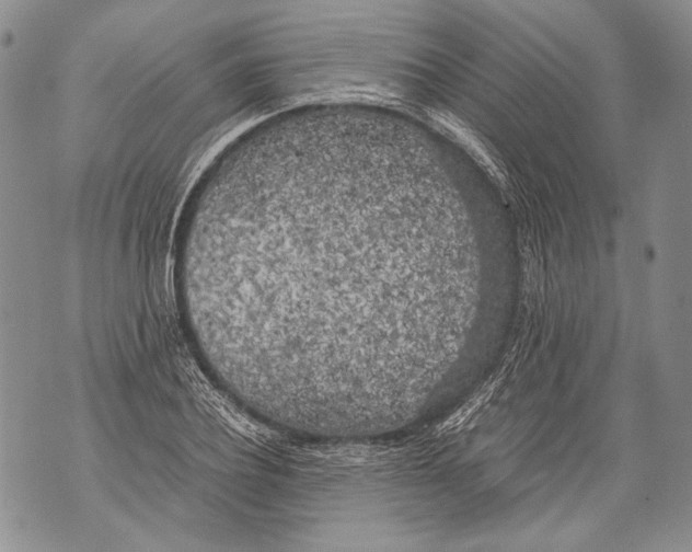 X0000071840932200607290104