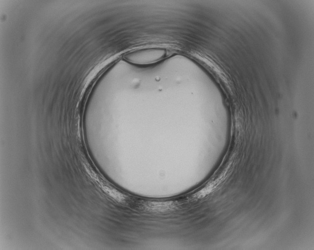 X0000071840933200607290104