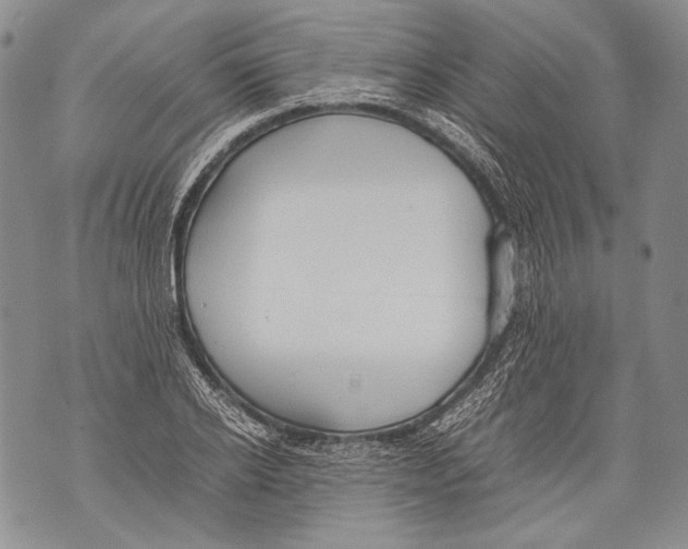 X0000071840934200607290104