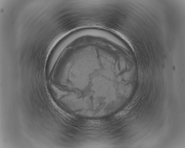 X0000071840935200607290104