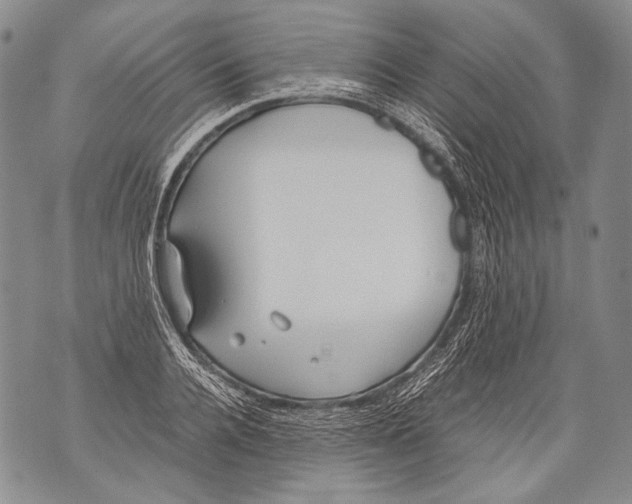 X0000071840936200607290104