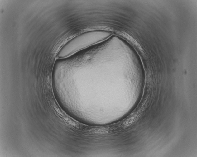 X0000071840937200607290104