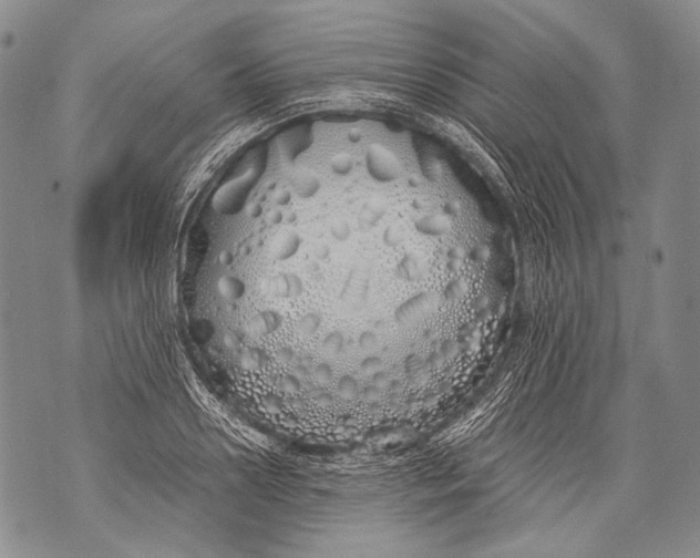 X0000071840938200607290104