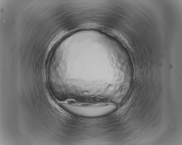 X0000071840939200607290104