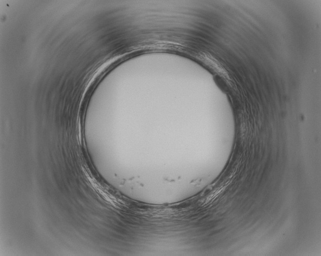 X0000071840940200607290104