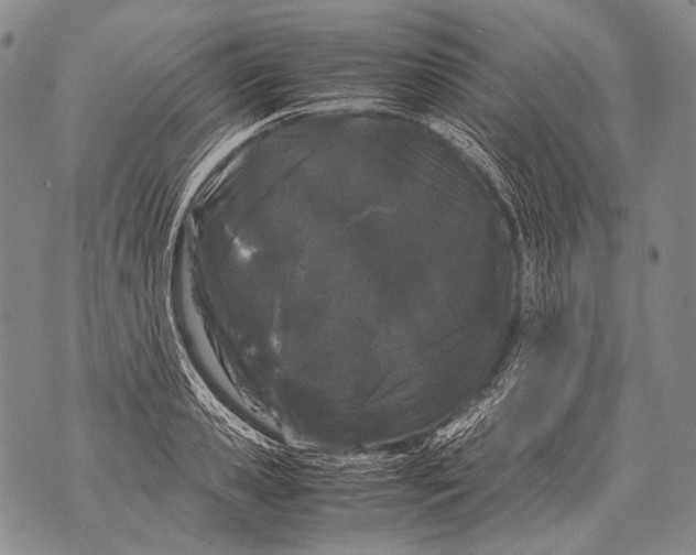 X0000071840941200607290104