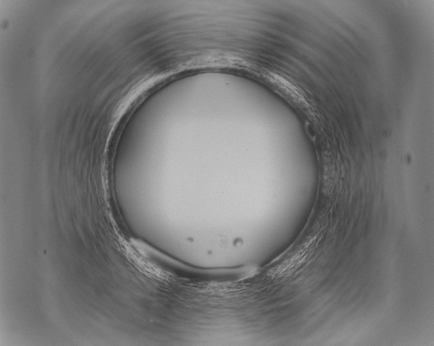 X0000071840942200607290104