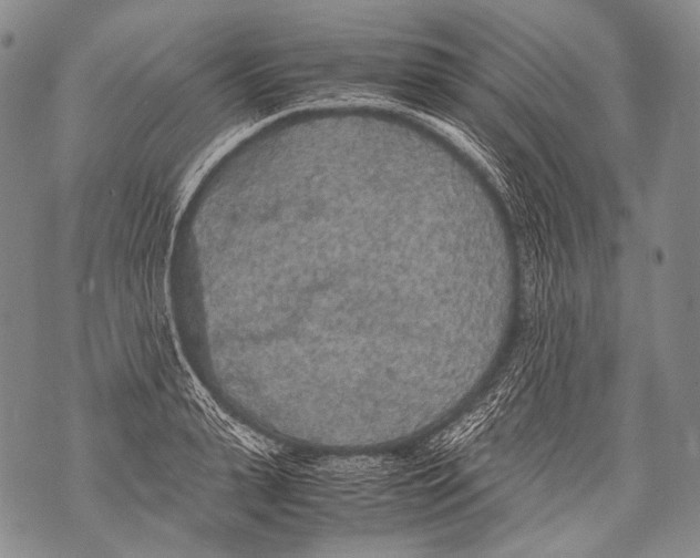 X0000071840943200607290104