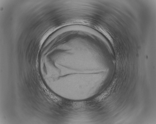 X0000071840944200607290104