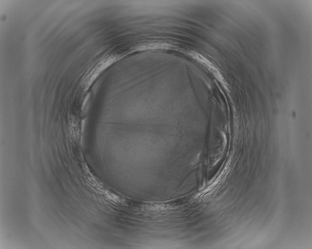 X0000071840945200607290104