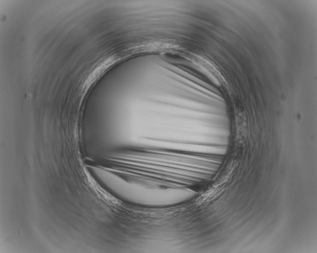 X0000071840946200607290104