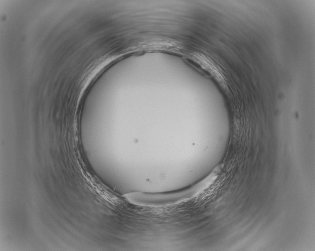 X0000071840948200607290104