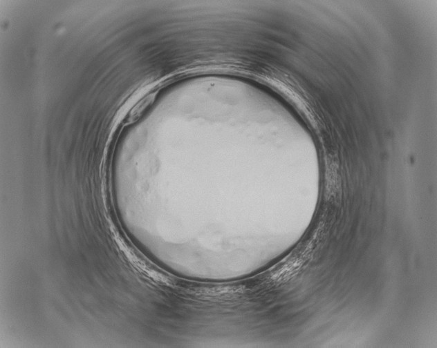 X0000071840949200607290104