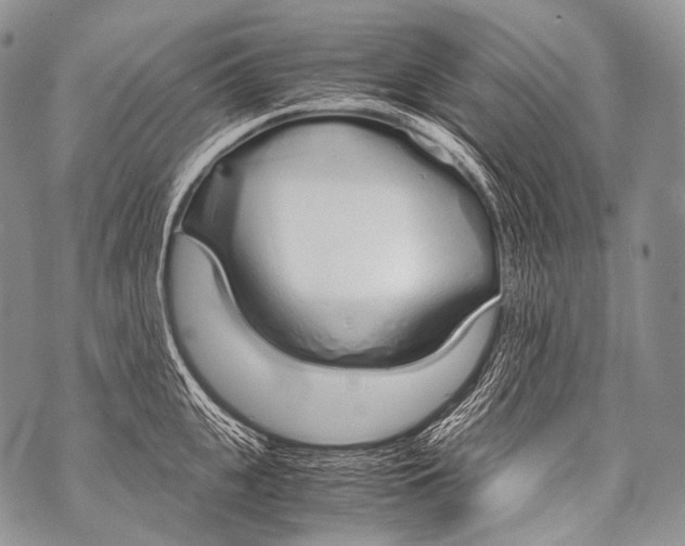 X0000071840951200607290104