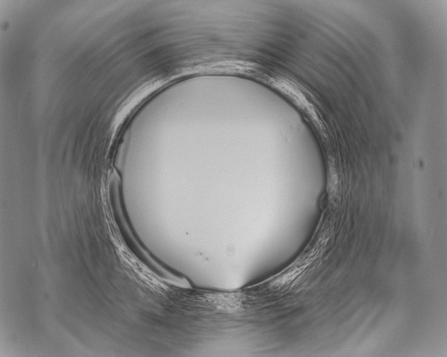 X0000071840952200607290104