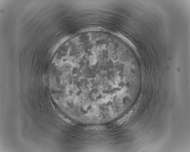 X0000071840953200607290104