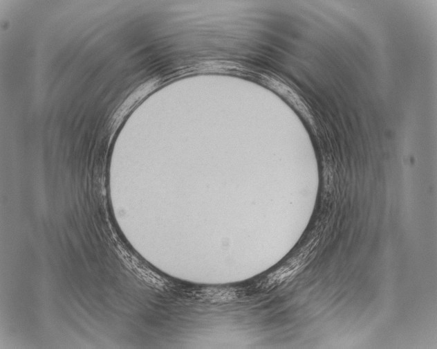 X0000071840954200607290104