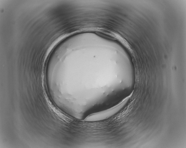 X0000071840955200607290104