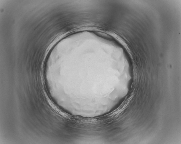 X0000071840957200607290104