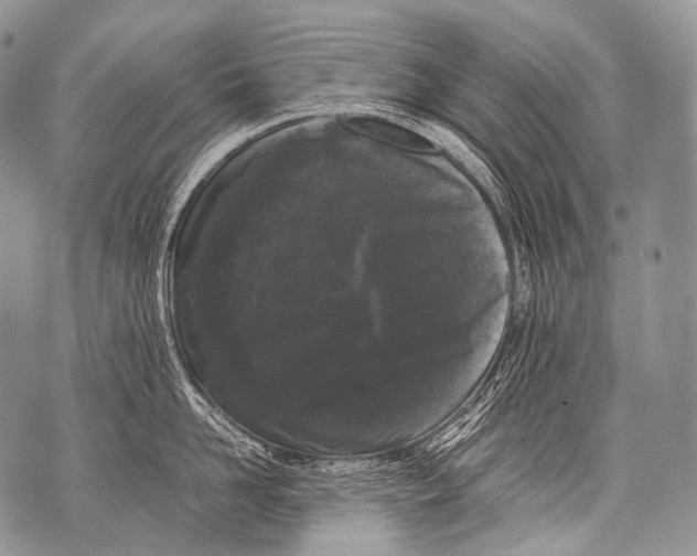 X0000071840958200607290104