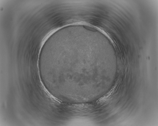 X0000071840959200607290104