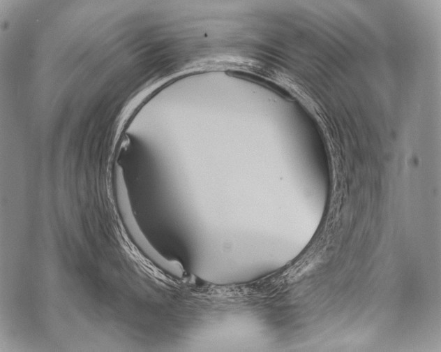 X0000071840960200607290104