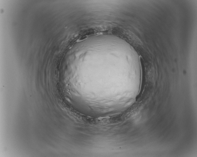 X0000071840961200607290103