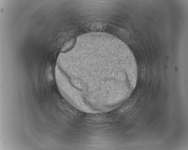 X0000071840962200607290103