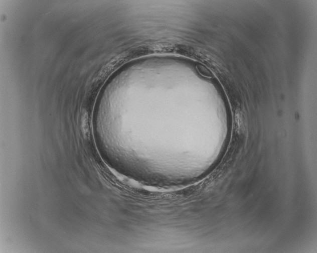 X0000071840963200607290103