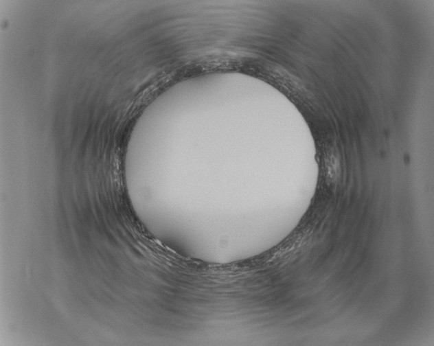 X0000071840964200607290103