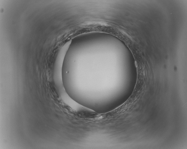 X0000071840965200607290103