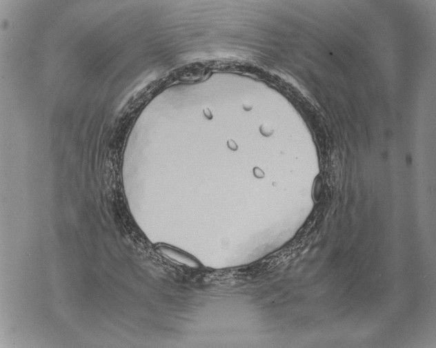 X0000071840967200607290103