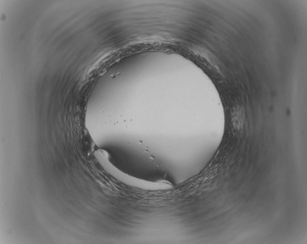 X0000071840968200607290103