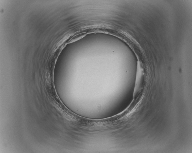 X0000071840969200607290103