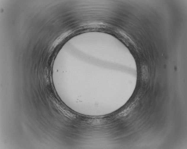 X0000071840970200607290103