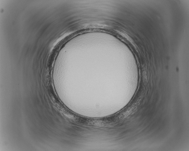 X0000071840971200607290103