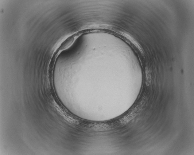 X0000071840972200607290103