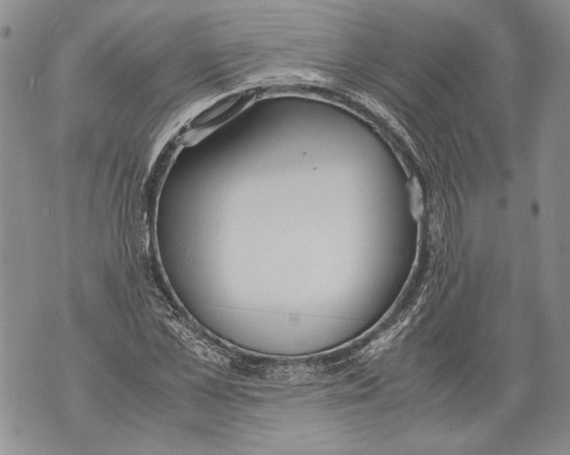 X0000071840973200607290103