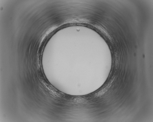 X0000071840974200607290103