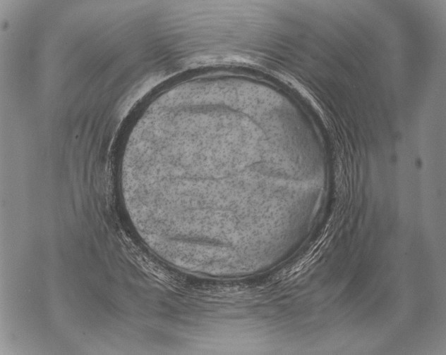 X0000071840975200607290103