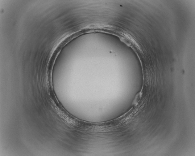 X0000071840976200607290103