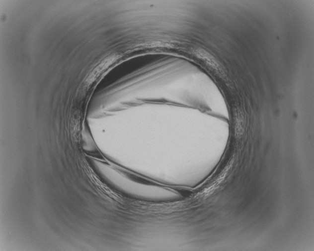 X0000071840977200607290103