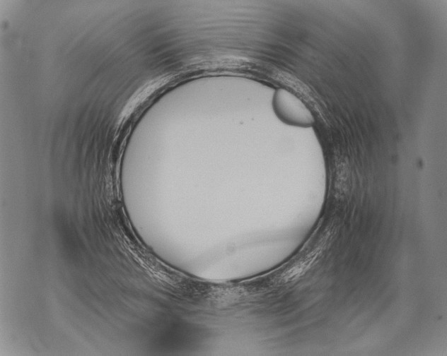 X0000071840978200607290103