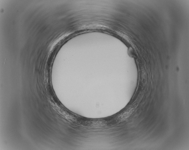 X0000071840979200607290103