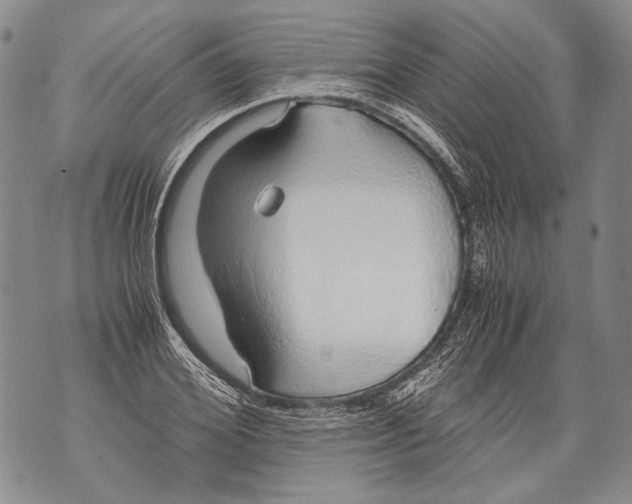 X0000071840980200607290103