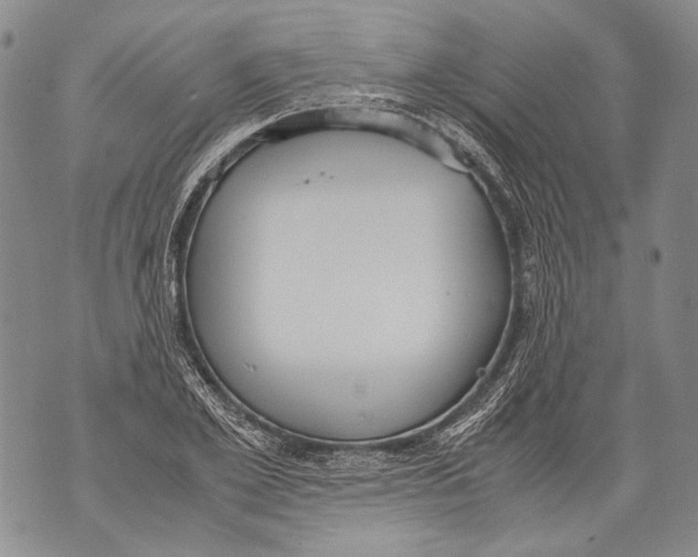 X0000071840981200607290103