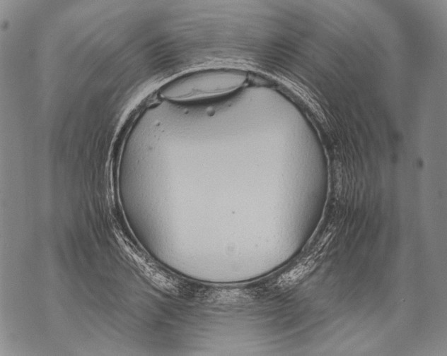 X0000071840982200607290103