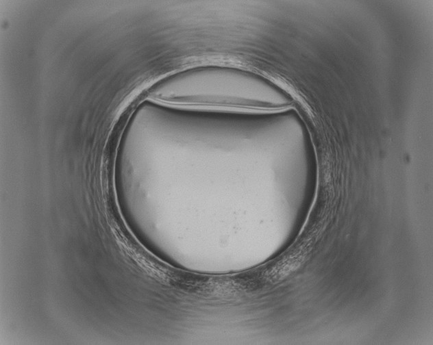 X0000071840983200607290103